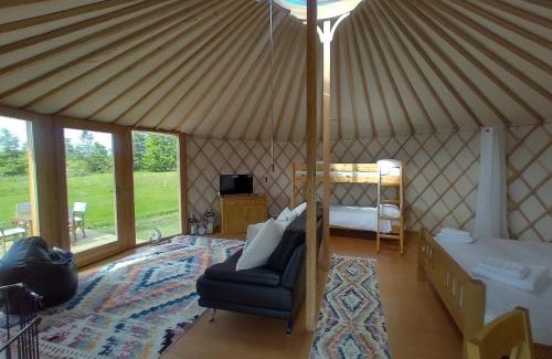Carmarthen Otro | Embrace the Space