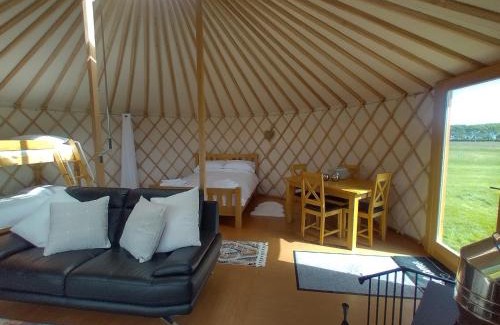 Carmarthen Otro | Embrace the Space
