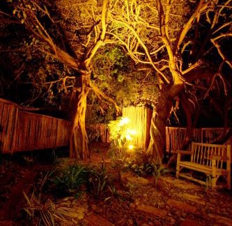 Hluhluwe Cabina | Emdoneni Lodge with Zululand Cat Conservation Project