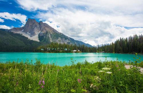 Field Complejo | Emerald Lake Lodge