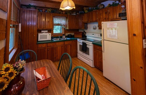 Cosby Cabina | Emerald Pines-quaint & private mountain cabin