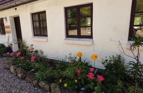 Lintrup Cama Y Desayuno | Emily's Garden