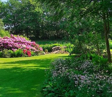 Lintrup Cama Y Desayuno | Emily's Garden