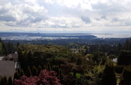 Upper Lonsdale Cama Y Desayuno | Emperial Suites