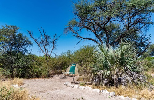 Maun Alquiler De RV | Empty campsite in natural farm between Maun and Moremi