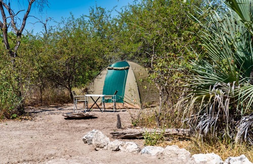 Maun Alquiler De RV | Empty campsite in natural farm between Maun and Moremi