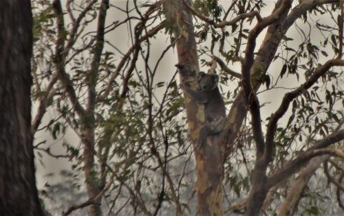 Tabulam Otro | Emu Creek Retreat