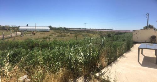 Salin-de-Giraud Apartamento | En camargue