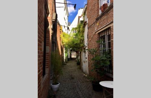 Dansaert Apartamento | En plein cœur de Bruxelles. Superbe duplex.A voir!