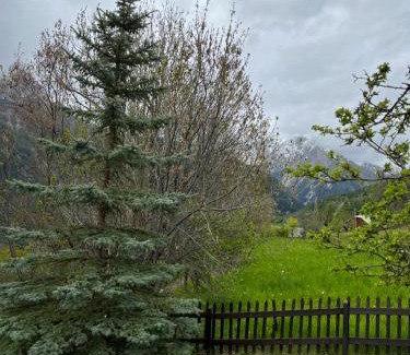 Pra Loup Apartamento | En pleine nature avec jardin