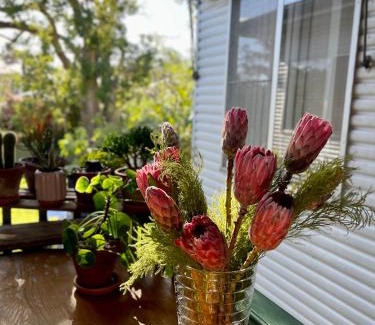 Marsfield Casa | En-suite Guest Room Ryde/Macquarie Park/Eastwood