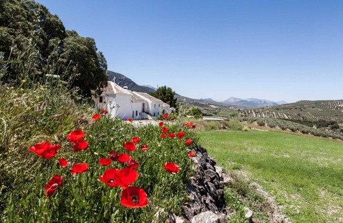 Villanueva del Trabuco Cabaña | Encanto Rústico entre Olivos y con Vistas a Las Montañas en el Sur de Andalucía