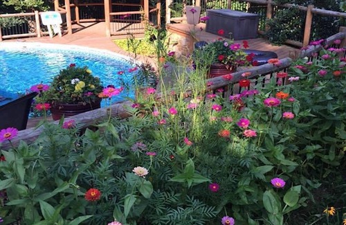 Eastview Cabina | Enchanted Forest Luxury Cabin