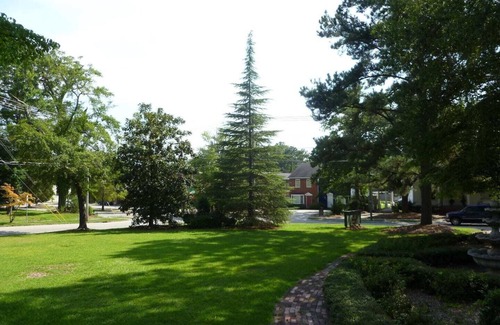 Wilson Casa | Enchanting Estate In the heart of Wilson