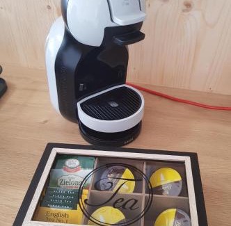 Czernichow Otro | ENERGY GLAMP