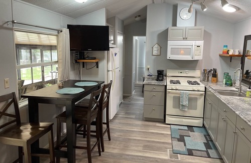 Salt Springs Cabina | Enjoy a view of Little Lake Kerr while sipping your coffee!