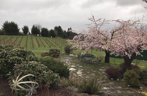 Newberg Apartamento | Enjoy a weekend in Oregon's Amazing Wine Country
