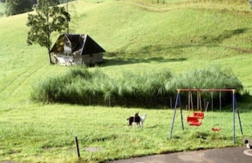 Schollach Apartamento | Enjoy a relaxing holiday in the Bärenhof's old bakery