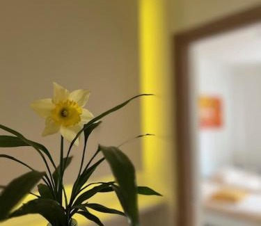 Millefonti Apartamento | Enjoy Lingotto - FIERE- METROPOLITANA- OSPEDALI CTO-REGINA MARG,MUSEO