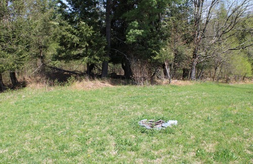 Fletcher Cabina | Enjoy nature in a cabin getaway, wildflowers, lush fields and maple woods trails
