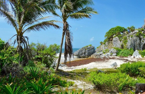 Ejidal Complejo | Enjoy Sunsets @Luxury Studio/1BR/2BR Oasis Perfect for Romantic Getaway & Family