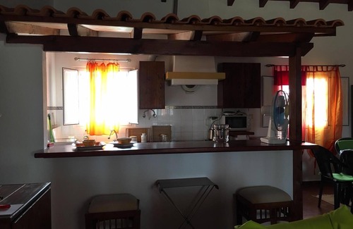 Grandola Otro | Disfrutar de la belleza de la región del Alentejo. Casa situada en un bosque de pinos y cerca de las playas
