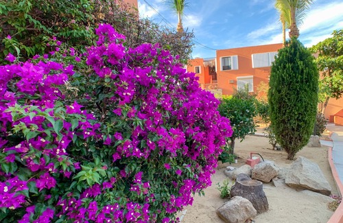 Cabo Bello Condominio | Disfruta de la vista al mar y pasea por la impresionante playa privada