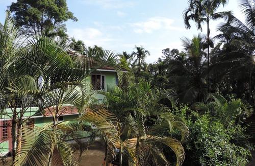 Kolagappara Casa | Enjoy The Real "wayanad Village Home Stay" Experience