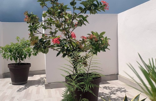 Monte Plata Apartamento | Enjoyable 1-bedroom apartment 4C con AC and more in Monte Plata