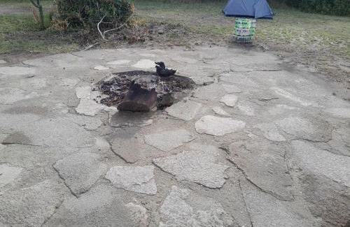 Kasese Cabina | Entale Safari Camp Queen Elizabeth National Park