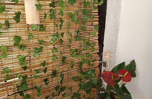 Rovereto Apartamento | Entire apartment for rent for vacation or business in the historic center