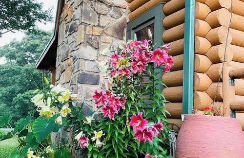 Maryville Cabina | Entire Cabin 15 mins to The Great Smoky Mountains