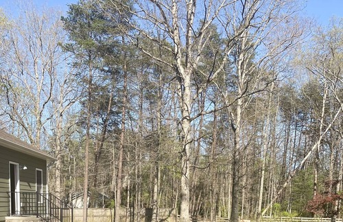 Locust Grove Casa | Entire Guest Home near Historic Lake Anna Sleeps 2