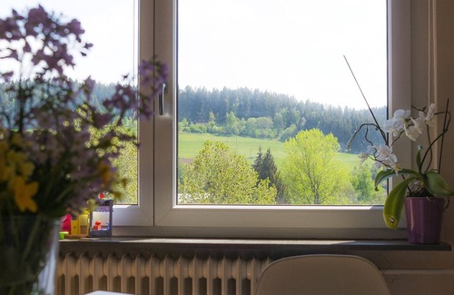 Unterkirnach Casa | Entire house in BlackForest with mountain view,private Gym,Sauna,Garden,Terraces