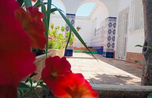 Los Gallos-Cerromolino Apartamento | Entre Pinos