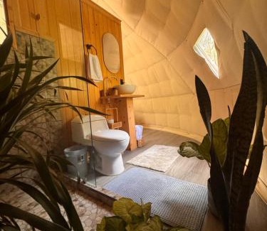 Quebrada Grande Otro | Epífita, Bosque Nuboso Glamping Monteverde