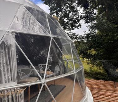 Quebrada Grande Otro | Epífita, Bosque Nuboso Glamping Monteverde