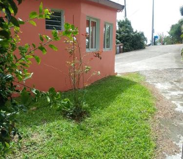 Lepinay Casa | EPINAY