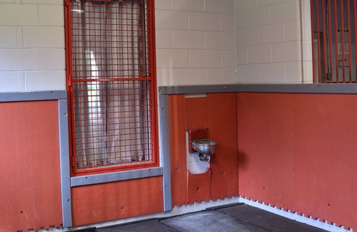 Reddick Apartamento | Equine Friendly- Studio Apartment & 6 Stalls