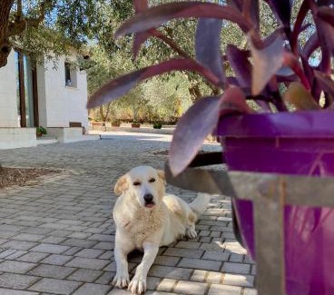 Cammarata Casa | Equiturismo San Lorenzo - Villa KAMARA