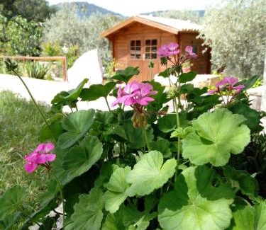 Cammarata Casa | Equiturismo San Lorenzo - Villa KAMARA