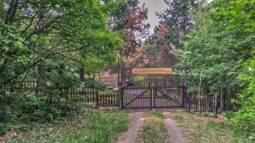 Dorgicse Casa | Erdő Mélyén Házikó