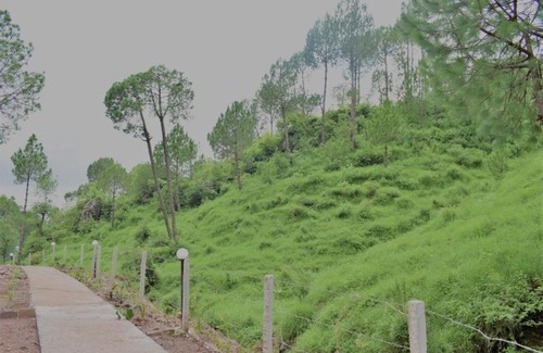 Kumarhatti Hotel | Erica Hills Resort