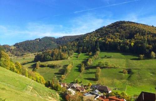 Munstertal Apartamento | Erikas Haus