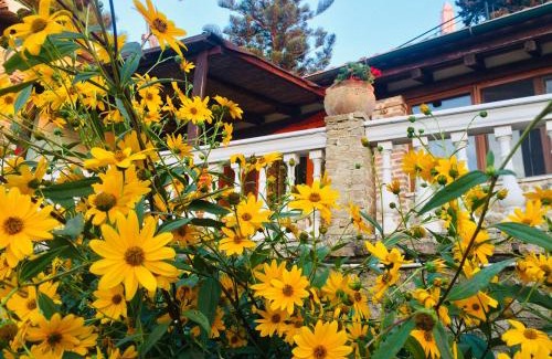 Parelia Casa | Ermones Emerald Villa