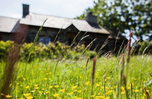 Cylch-Y-Garn Apartamento | Erw Rhys - sleeps 6 guests in 3 bedrooms