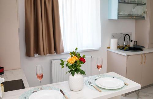 Craiova Apartamento | Erwins Studio