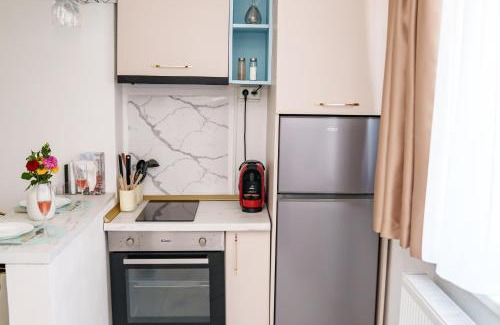Craiova Apartamento | Erwins Studio