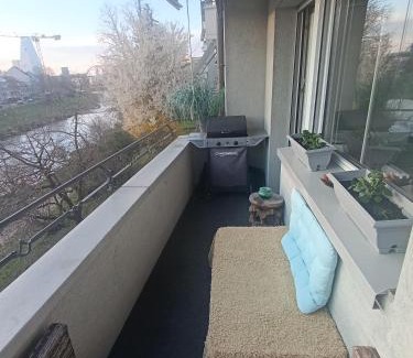 Birsfelden Apartamento | ESC Basel Furnished Apartment