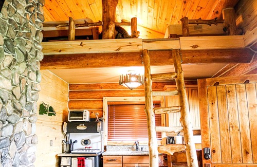 Pagosa Springs Cabina | Escápese de las multitudes y disfrute de su propia vista privada: cabina de alces